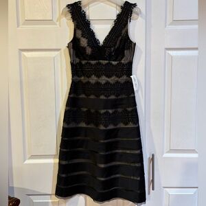 JS Collections Black Lace Midi Dress